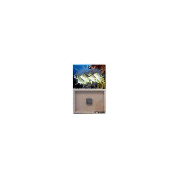 canvas clock