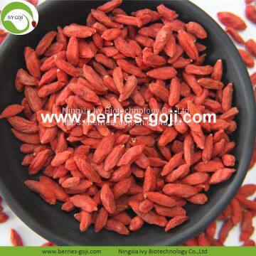 Factory Hot Sale Dried Himalayan Goji Berry