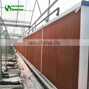 Good Quality Greenhouse Evaporative Cooling Cellulose Pad Cooler For Sale