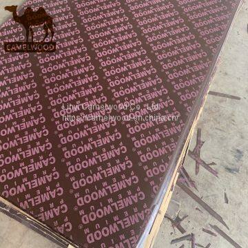 18mm Red Film Faced Plywood With Poplar Finger Joint Core Melamine Glue for Construction Concrete Formwork photo-2