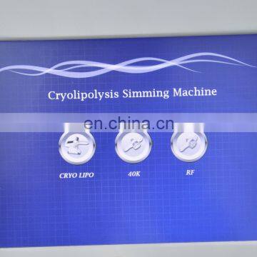 Professional Cryolipolysis Double Chin Removal 5 Handles Working Fat Freezing Equipment photo-6