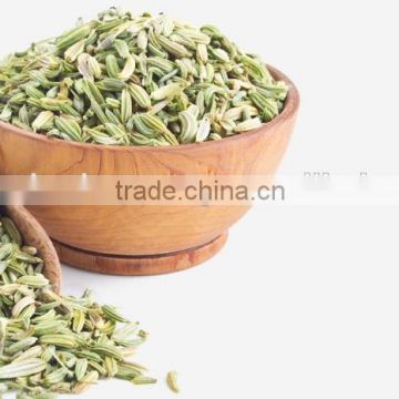 Fennel seed bulk exporters