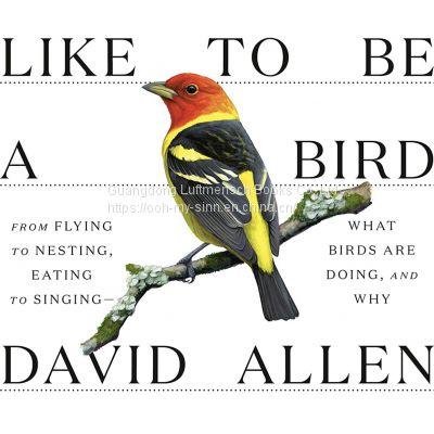 What It's Like to Be a Bird: From Flying to Nesting, Eating to Singing--What Birds Are Doing, and Why (Sibley Guides)