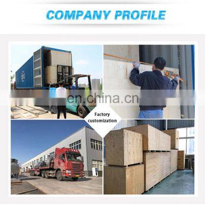 IQF Quick Freezing Vegetable Machine Industrial Freezer Price