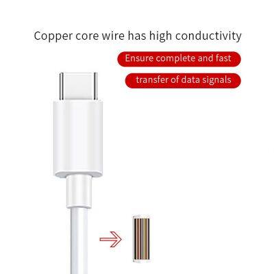 Factory Usb Customized Logo Usb c Charger Type c Micro Usb Connector for Samsung for Fuawei photo-4