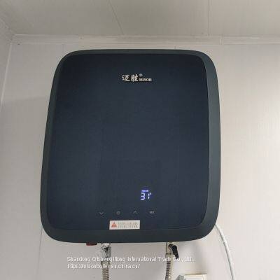 8l 10l 12l 16l Boiler Wall Mounted Calentador de Agua a Gas Mini Gas Water Heater Digital Constant Gaz Gas Water Heater photo-3