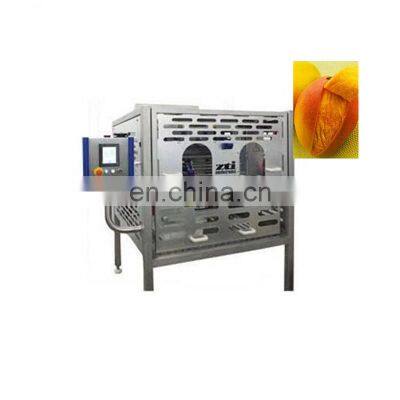 NEW TYPE fruit skin peeling machine/mango peeling machine with advanced design