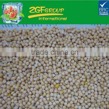 High Quality dried canned chick peas