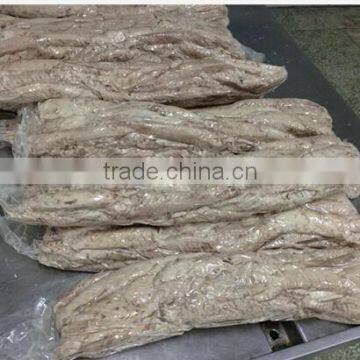 Frozen Per-cooked belted bonito loin (sarda orientalis)