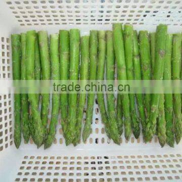 Frozen Green Asparagus Cuts photo-2