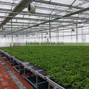 Multi-layer Greenhouse Bench photo-2