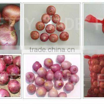 china fresh red onion processing plants