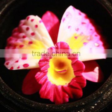 Thai handmade Orchid Carved soap