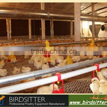 ready sale broilers and breeders poultry farm equipment