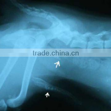 medical x-ray film agfa, fuji dry film for chinese veterinary instrument