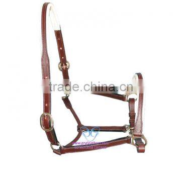 Halter 3/4 Inch Double Buckle Crown & Nose Cut Shape Throatlash Rolled with snap