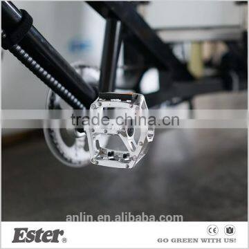 Unique ESTER Pedal Passenger Pedicab With Tektro Brake photo-4