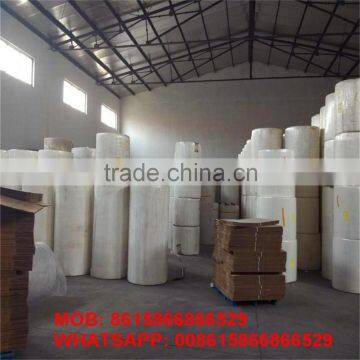 Ygdrasil toilet tissue paper factory, facial tissue