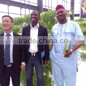 A Type Tower Hydroponics System for Greenhouse Agriculture