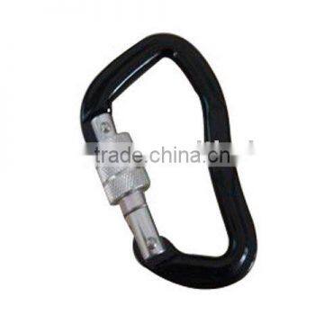 Climbing Carabiner