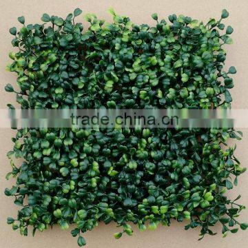 Wholeselling Interior Decorative Artificial Grass Mat Boxwood Hedge Mat in Green