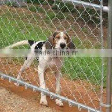 chain link fence dog kennels