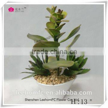 2015 Hot Sale Artificial plants Succulent plant