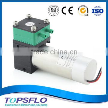 Diaphragm small electric vacuum pump