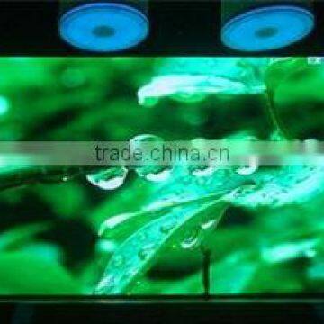 China best quality P10 indoor full color LED display