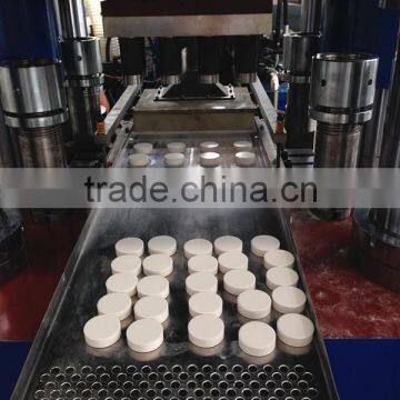 Size and shape can be customized water disinfecting chlorine tablet press machine