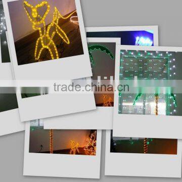 holiday light/solar string light