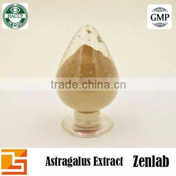Hot Selling High Quality Polysacchrides 90% Astragalus Extract