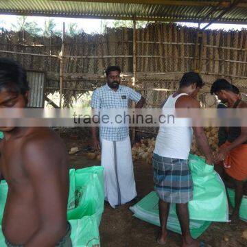 Fresh Mature Cocounts photo-3