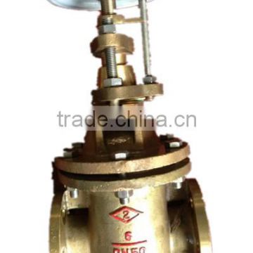 gate valve dn100