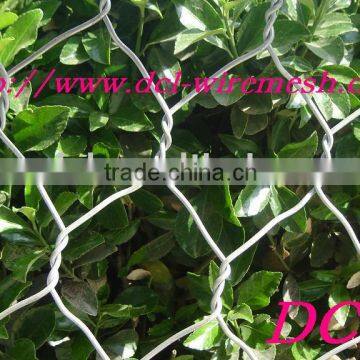 hot selling Hexagonal Wire Mesh from factory with low price and high quality