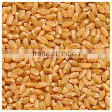 Wheat Flour Milling Machine