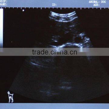 Laptop Veterinar Ultrasound Machine With Low Price photo-5