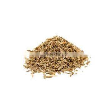 Indian Testy Whole Spices - Whole Large Cumin (Jeera) photo-5