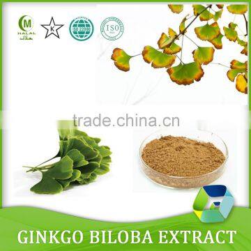 ISO&HACCP Water Soluble Ginkgo Biloba Extract.