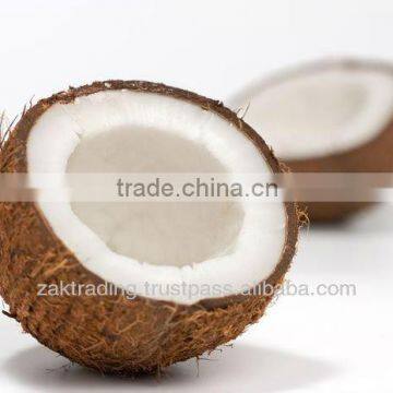 Fresh Mature Coconut