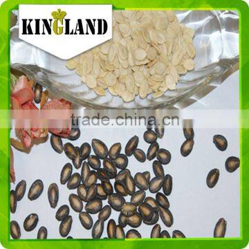 Black Watermelon Seeds for Planting