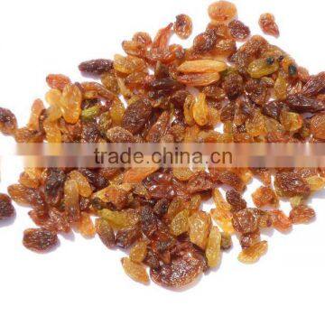 Raisins Sultana type