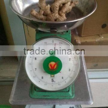VIETNAM DRIED SLICE GINGER, BEST PRICE, HIGH QUALITY (+841657106604 - WHATSAPP) photo-6