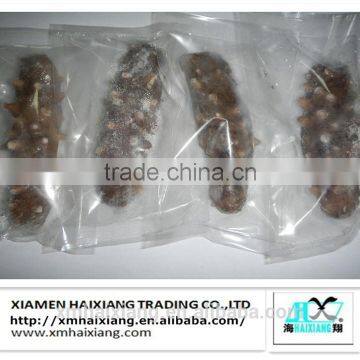 Frozen sea cucumber for sale