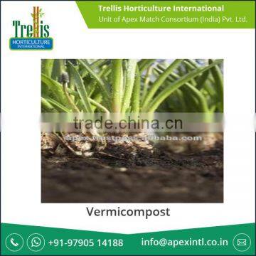 Vermicompost Wholesale Supplier