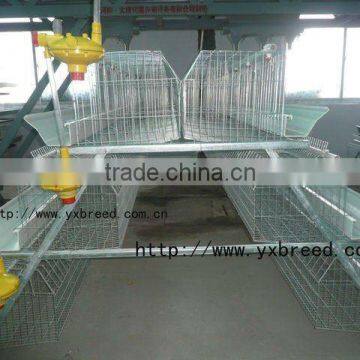 agricultural equipment design layer chicken cages