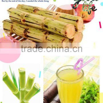 NEWEEK Shop Use Commercial Stainless Electric Sugar Cane Crusher photo-2