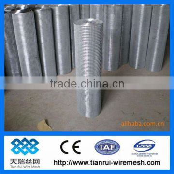 galvanized wire mesh( welded wire mesh)