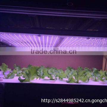 Indoor Garden LED Greenhouse Plant Growth Promoter Full Spectrum 45W LED Grow Light photo-5