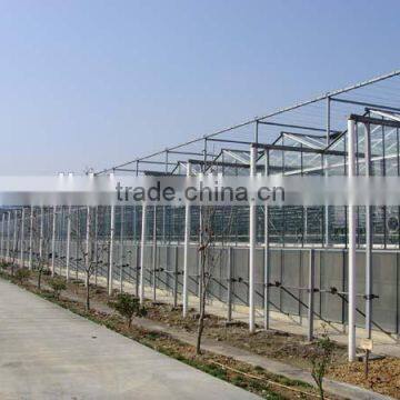 Large Size Multi-span Glass Greenhouse/commercial Greenhouses photo-3